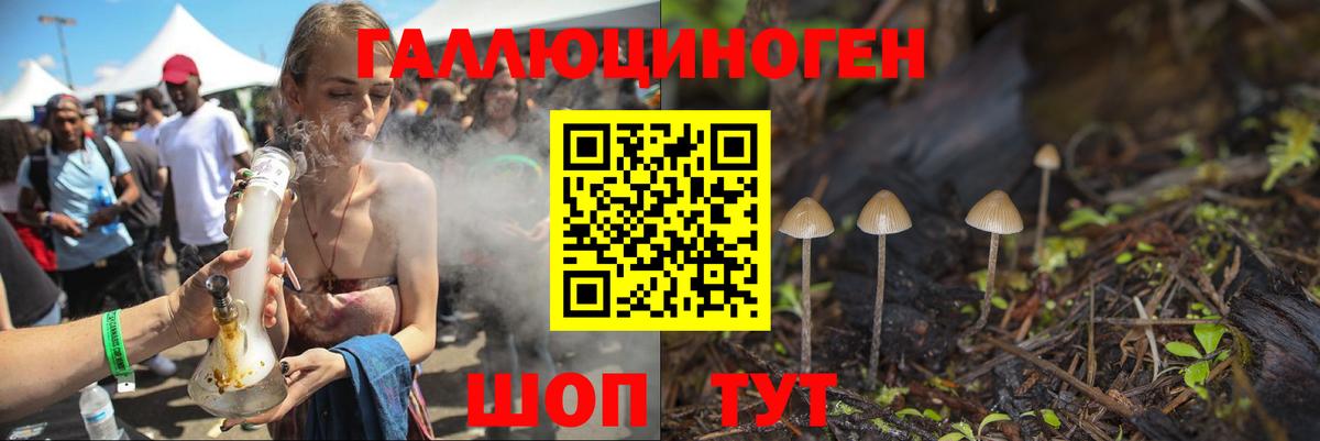 Псилоцибиновые грибы Cubensis Кирово-Чепецк